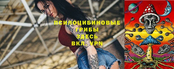 ПСИЛОЦИБИНОВЫЕ ГРИБЫ Тобольск