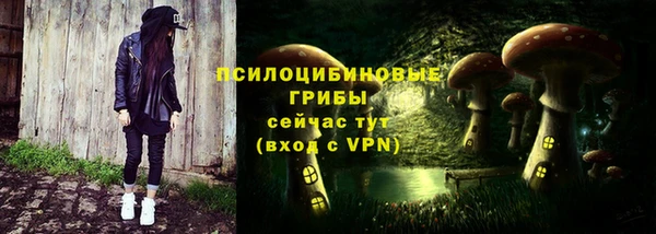 ПСИЛОЦИБИНОВЫЕ ГРИБЫ Тобольск