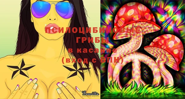 ПСИЛОЦИБИНОВЫЕ ГРИБЫ Тобольск